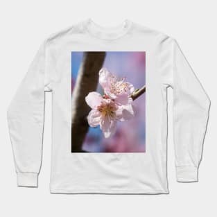 Cherry Blossom IV Long Sleeve T-Shirt